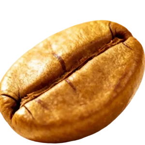 system-test-free-coffee-sample